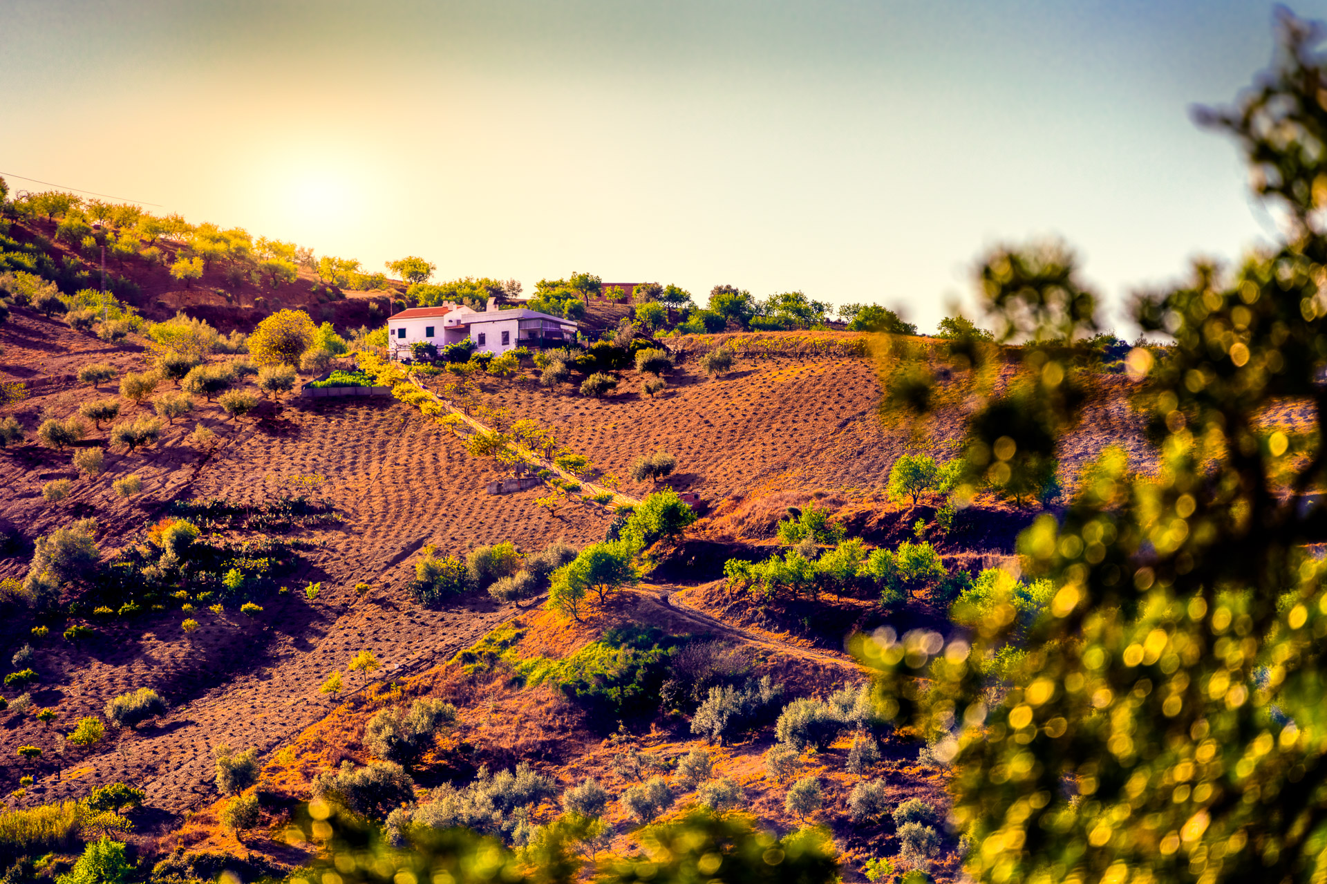 Traditional Finca in the Mountains of Andalucia, Spain.

Tags: Finca, Andalucia, Spain, Malaga, mountain, landscape
