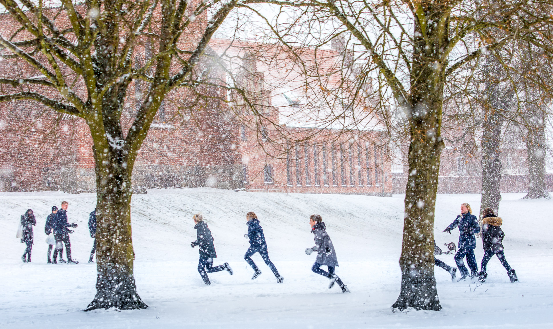 Stemningsbillede fra en vinterdag på Herlufsholm Kostskole med leg i sneen