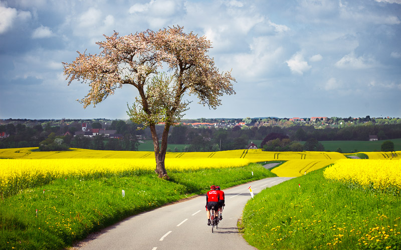 Rapsmarker, æbletræer i blomst og et par cykelryttere i rødt. Bråby Bakker er en del af SydkystDanmark.